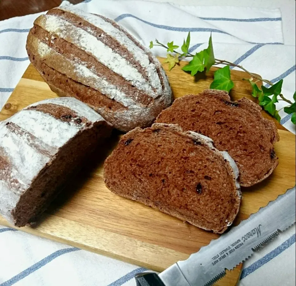 自家製酵母ストレートでトリプルミルクハース🐮 ～チョコバージョン、チョコチップ入りで😋|sakurakoさん