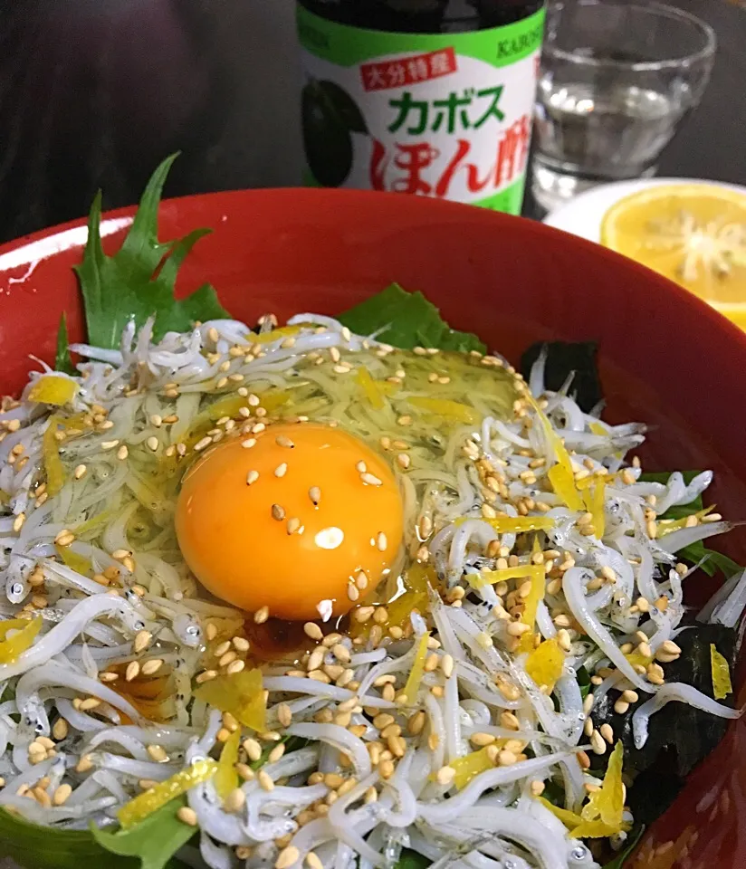 大分県産釜揚げしらすとカボスでさっぱりしらす丼|れいさん