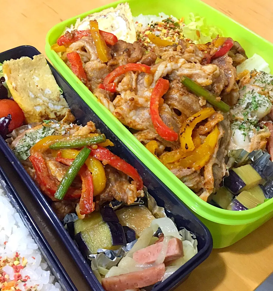 Snapdishの料理写真:今日の親父弁当！|沖縄「ピロピロ」ライフさん