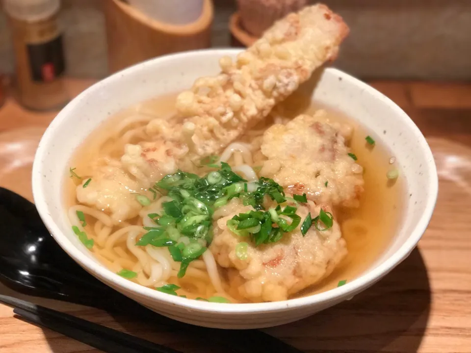 Snapdishの料理写真:UDON BUZEN とりちくわ天うどん|ddr3rdmixさん