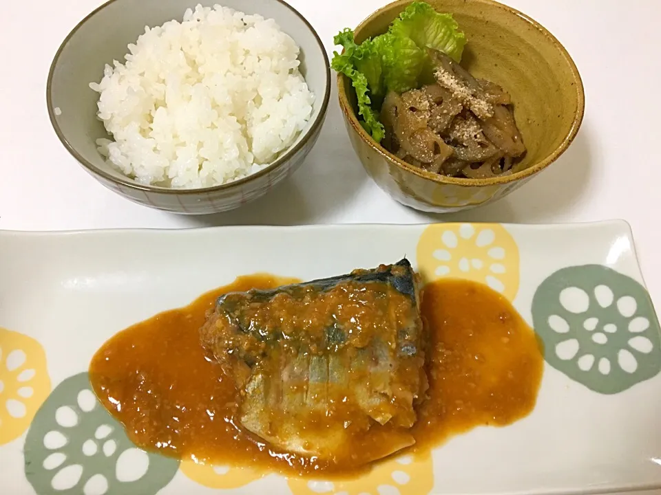 サバの味噌煮とレンコンのきんぴら〜！ サバの味噌煮って初挑戦だったけど、ご飯に合う味になってて最高〜☺️✨|KKOさん