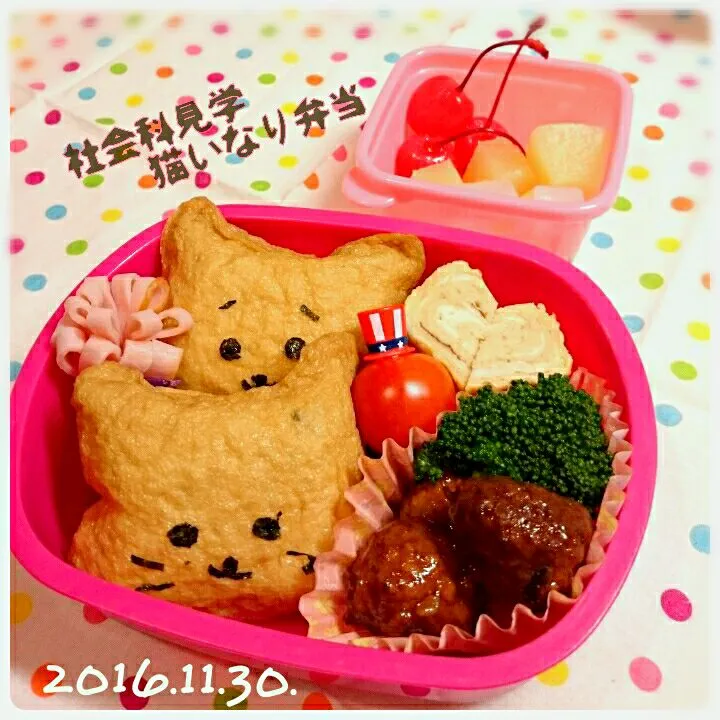 ねこいなり弁当(ΦωΦ)🐾|うさかめさん