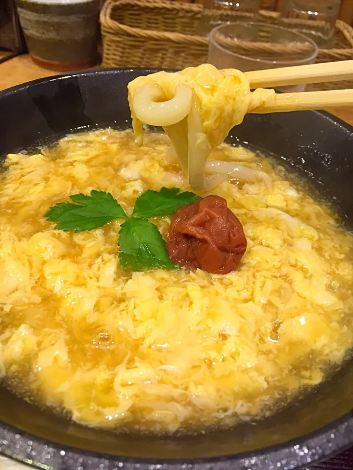 久しぶりに、讃岐うどん屋さんで聖水沐浴&夕餉🍜そのささやかな影響か…今朝の体重が凄いことになってた😭|にゃあ（芸名）さん