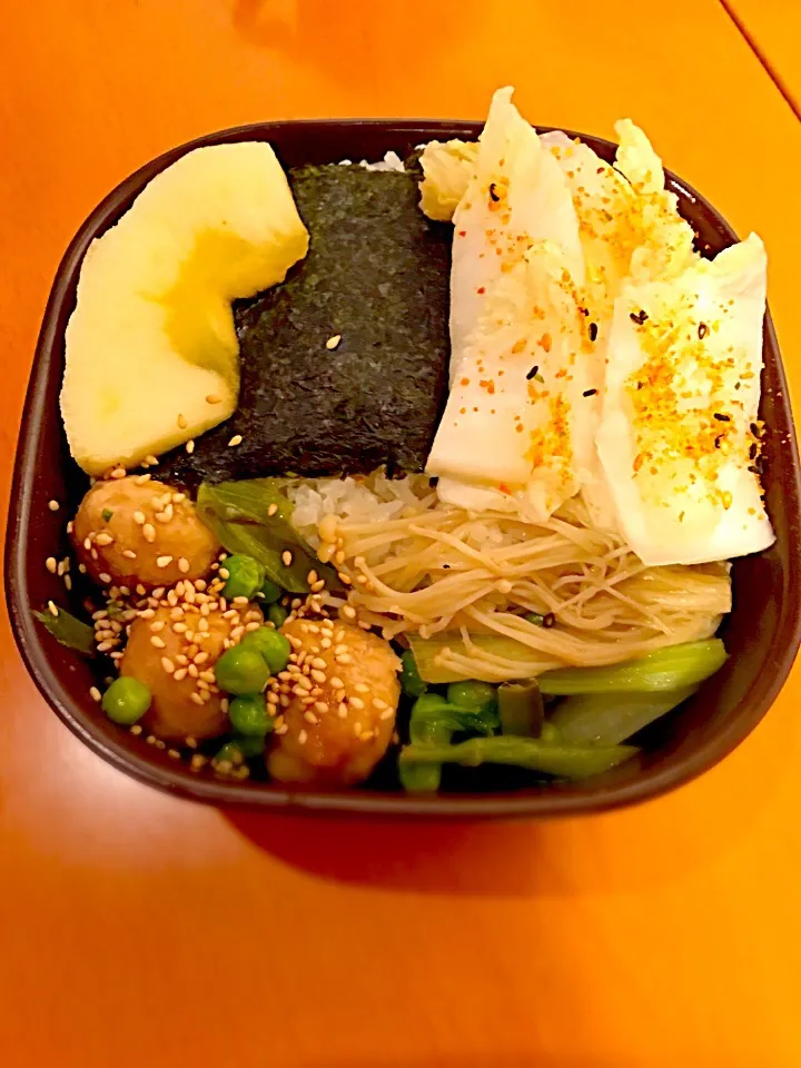 パパお弁当🍱 鶏肉団子と大阪白菜グリーンピースえのき茸の餡煮  白菜の漬物  林檎🍎 海苔弁|ch＊K*∀o(^^*)♪さん