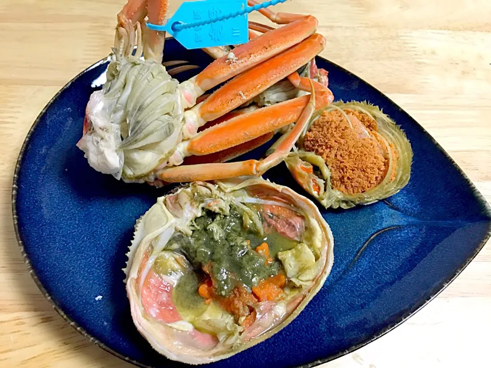 香箱蟹🦀|とよよさん