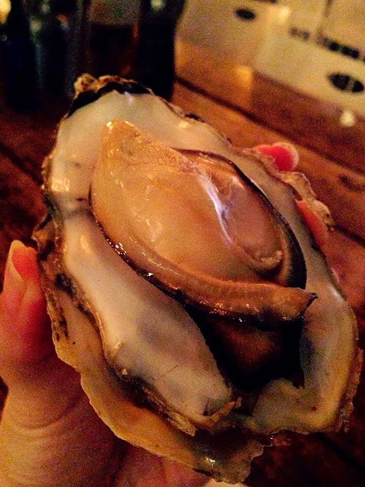 Oysters night.❤️ a famous seafood restaurant in Taipei, Taiwan u have to visit.🍺|SPJWUさん