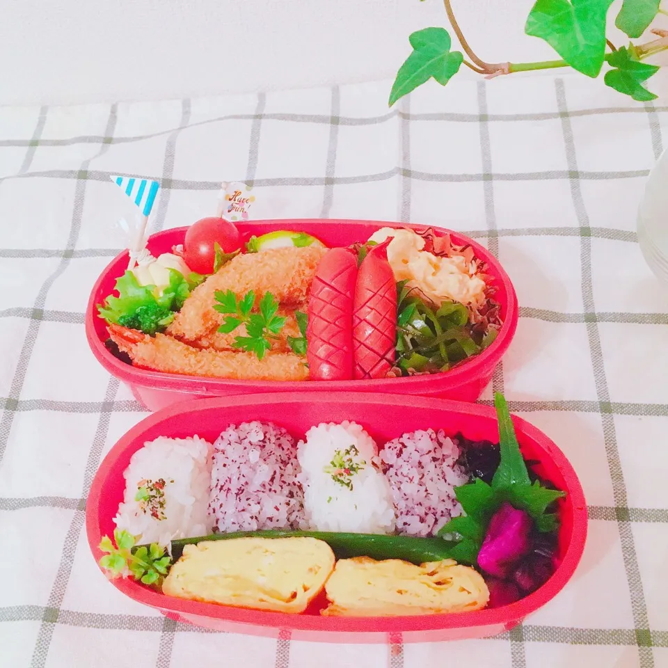 Snapdishの料理写真:海老フライのお弁当|Mikaさん