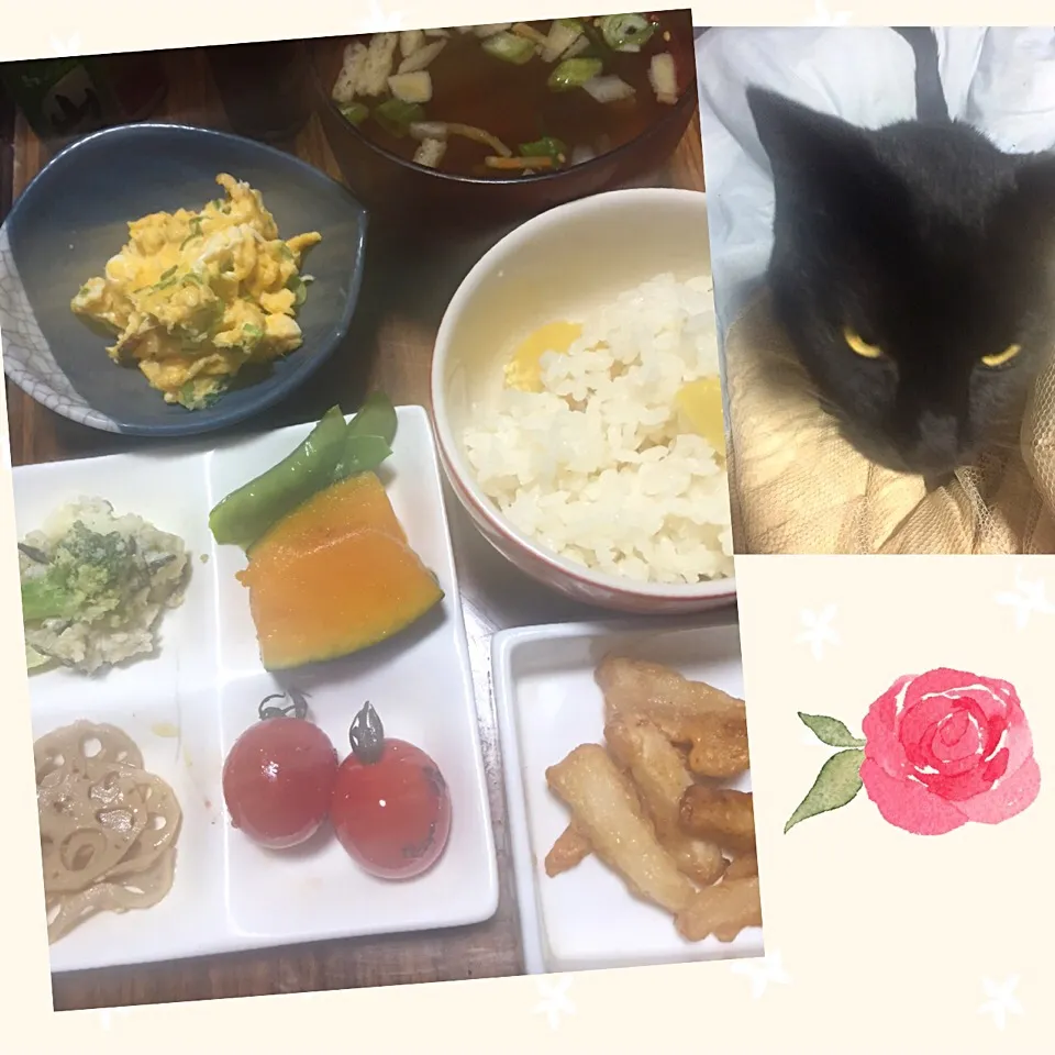 Snapdishの料理写真:今日の朝ごはん。
栗ごはん、味噌汁、かぼちゃとキヌサヤ煮、ポテトサラダ、ミニトマトのオリーブ油焼き、蓮根、葱炒り卵、フライド大根。|岸野 令子さん