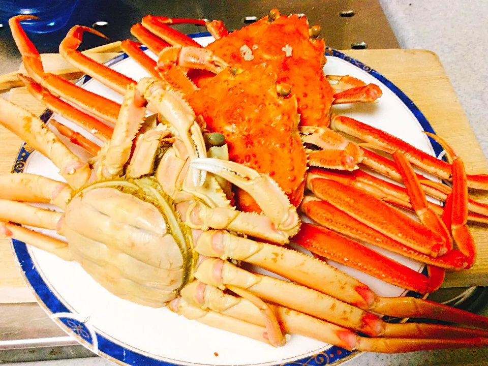 今日の蟹は女子会（笑）🦀
お酒もご飯も進みますわ♪
#香箱がに|madeleineさん