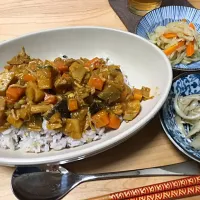 Snapdishの料理写真:高野豆腐と根菜の和風ドライカレー|あおママさん