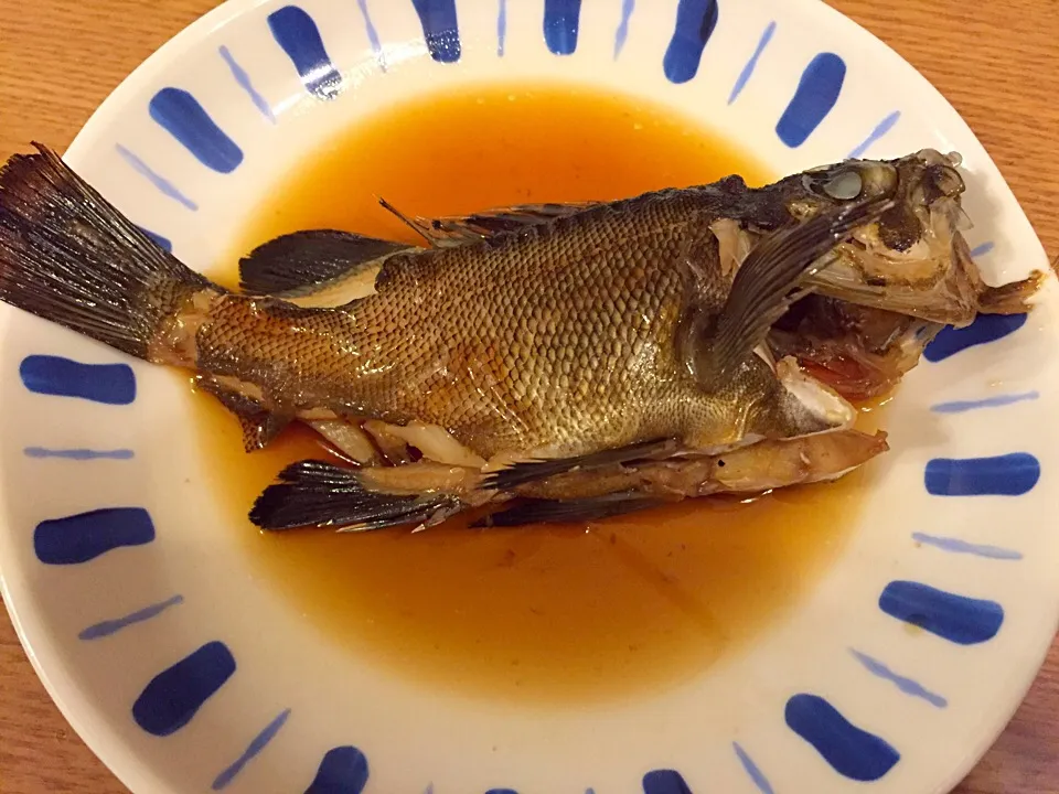 とれたて！
メバルの煮付け|くま子さん