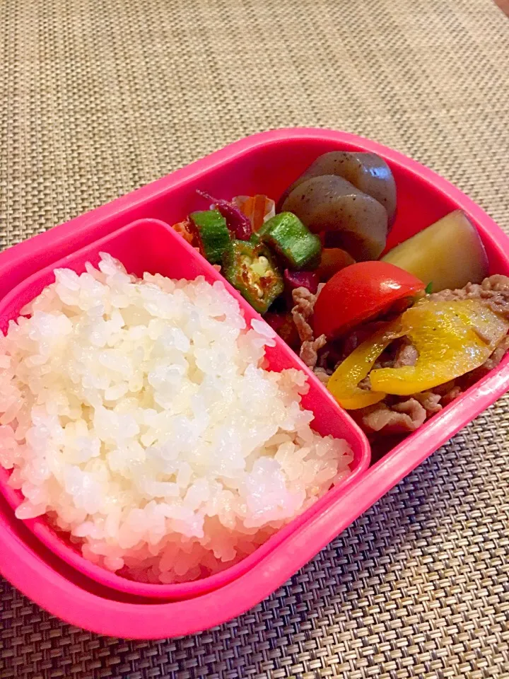 Snapdishの料理写真:12/05お弁当|ひなママさん