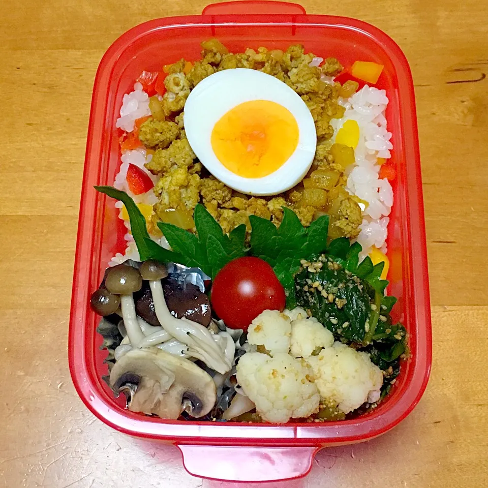 ドライカレー弁当|sachiさん