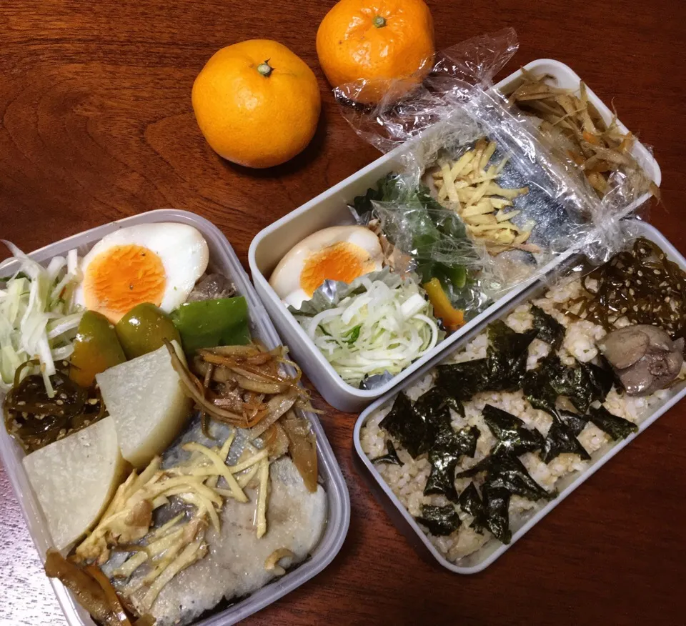 12/5 お弁当|もっちさん