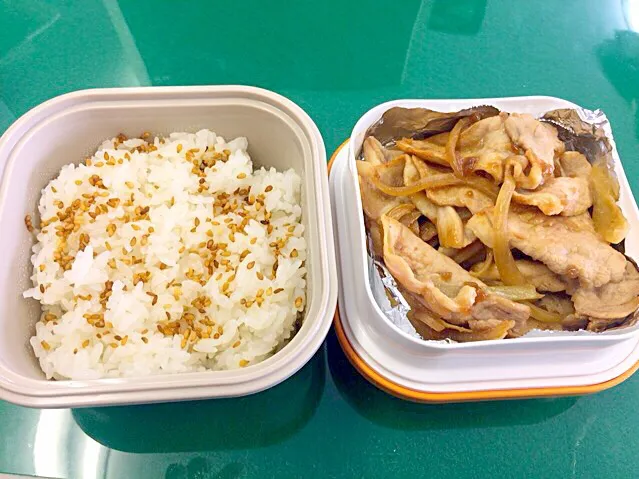 Snapdishの料理写真:本日のお弁当（豚焼肉弁当）|ラックさん