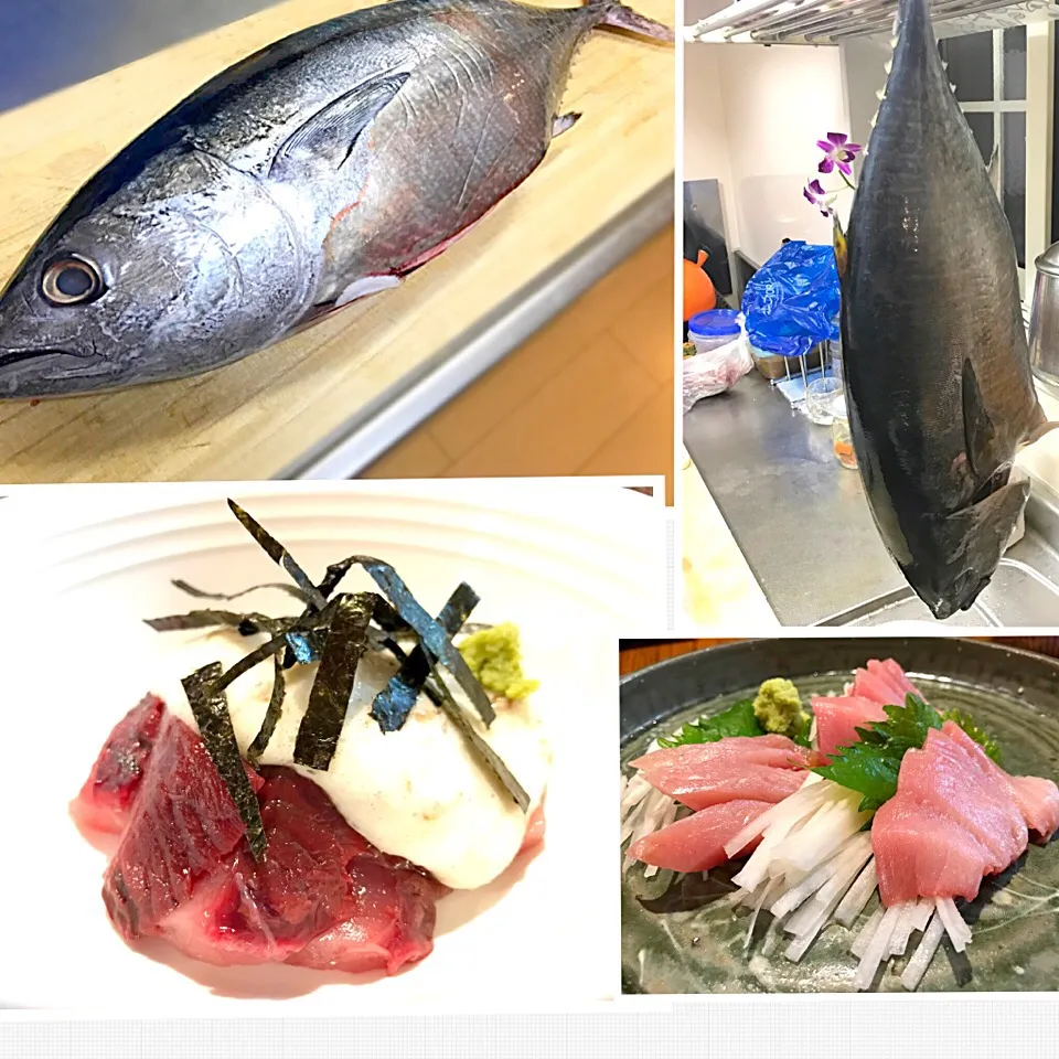 Snapdishの料理写真:マグロのあれこれ🐟 自然薯deやまかけ〜腹身の刺身〜ねぎま鍋（画像なし）(^_^;)|おかっぴーさん