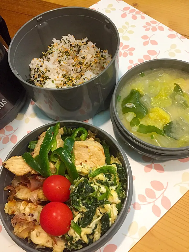 Snapdishの料理写真:パパたろ弁当

ふりかけごはん
鶏肉ピーマンの蜂蜜マスタード
卵とほうれん草のスクランブル
蛸入りお好み焼き風
ミニトマト

お味噌汁(豆腐 白菜 ねぎ わかめ)

#お味噌汁 #炒めもの #お味噌汁 #肉料理 #お好み焼き|ひななぎさん