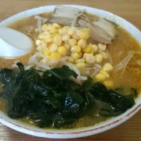 Snapdishの料理写真:味噌ラーメン|korinaioyajiさん