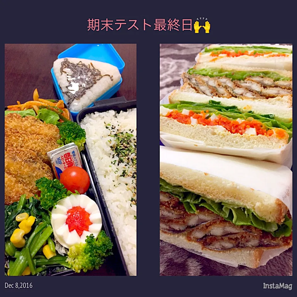 Snapdishの料理写真:高校2年男子（鰯フライ）弁当🐟&旦那昼飯（鰯･卵サンド）🐣
期末テスト最終日✌️|じゅごんさん