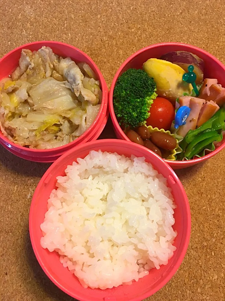 塾弁 白菜の重ね煮弁当|tetenonさん