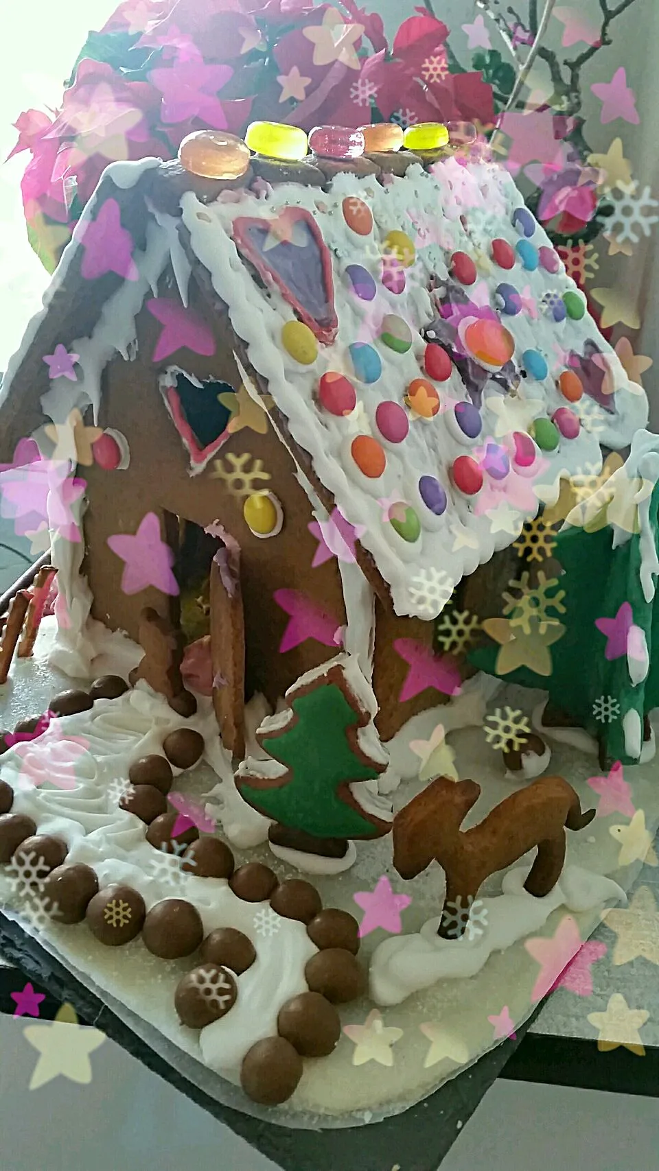 Gingerbread House / Lebkuchenhaus
after recipe from the two baker brothers and Brigitte.de|Najeskaさん