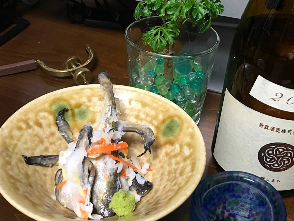 死ぬ前に
            何食べたい？
          迷わすこれです
               鰰飯寿司
        秋田の銘酒新政と|ちゅら夏さん