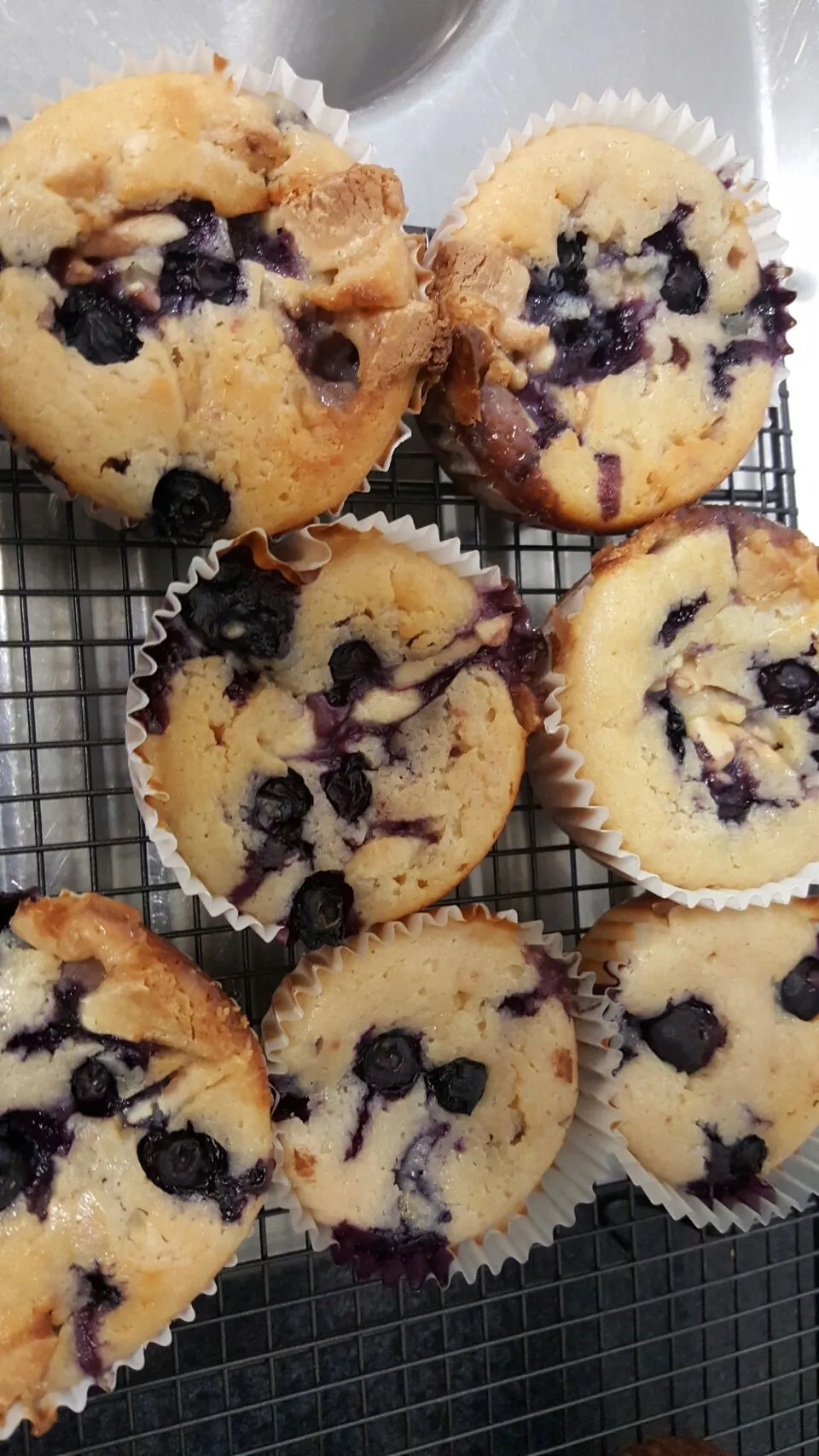 Snapdishの料理写真:Blueberry muffins|Donna Crawfordさん