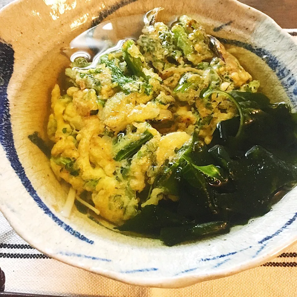 揚げないかき揚げ🌸春菊のかき揚げでおうどん🍲|okawarisanさん