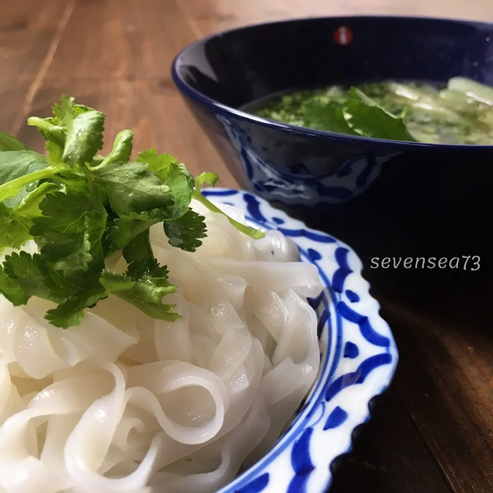 またフォーーーッʕ-̼͡-ʔ🇻🇳パクチー&白菜&青葱でグリーンなつけ麺ふうʕ-̼͡-ʔ #ふぉっこりきぶん|七海さん