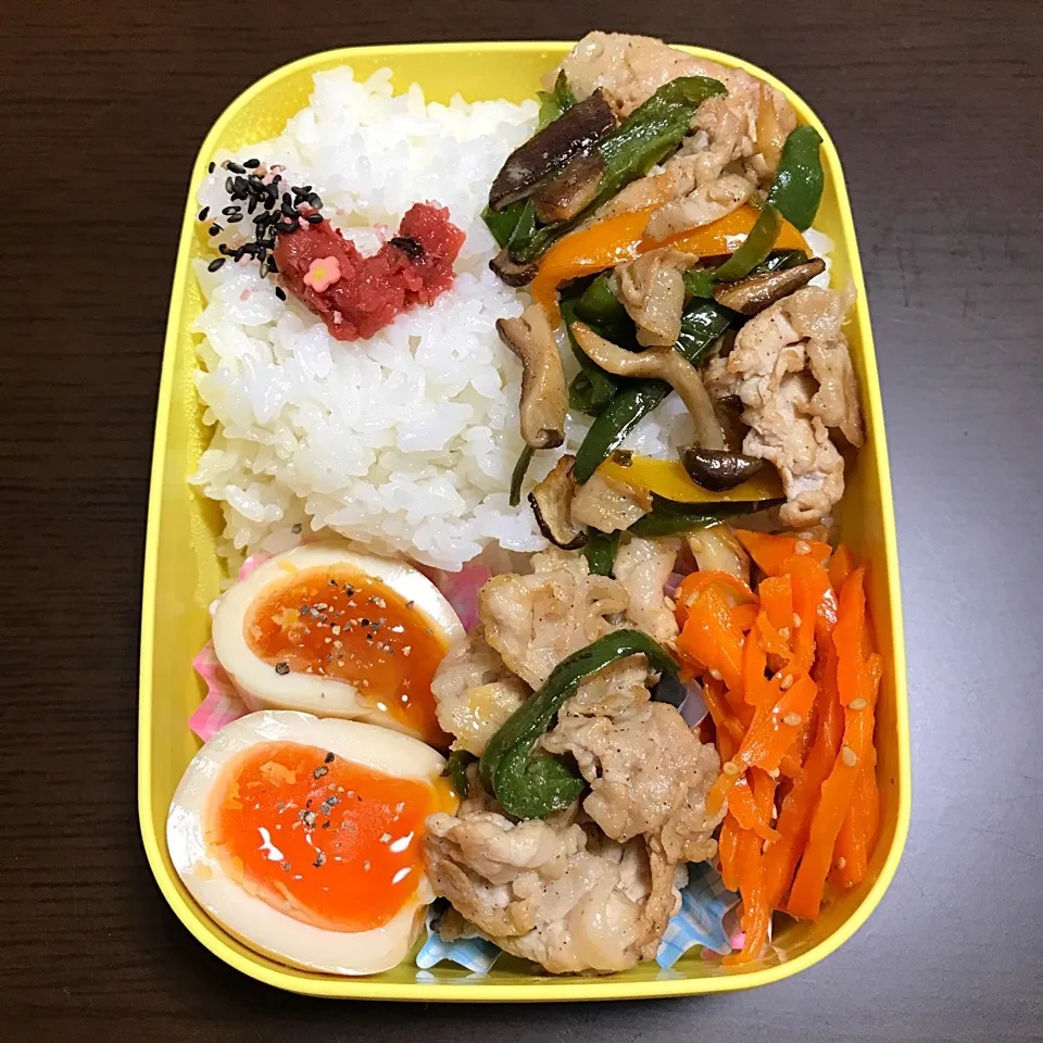 12/11 日曜日 お弁当🍱|palm👨‍❤️‍💋‍👨さん