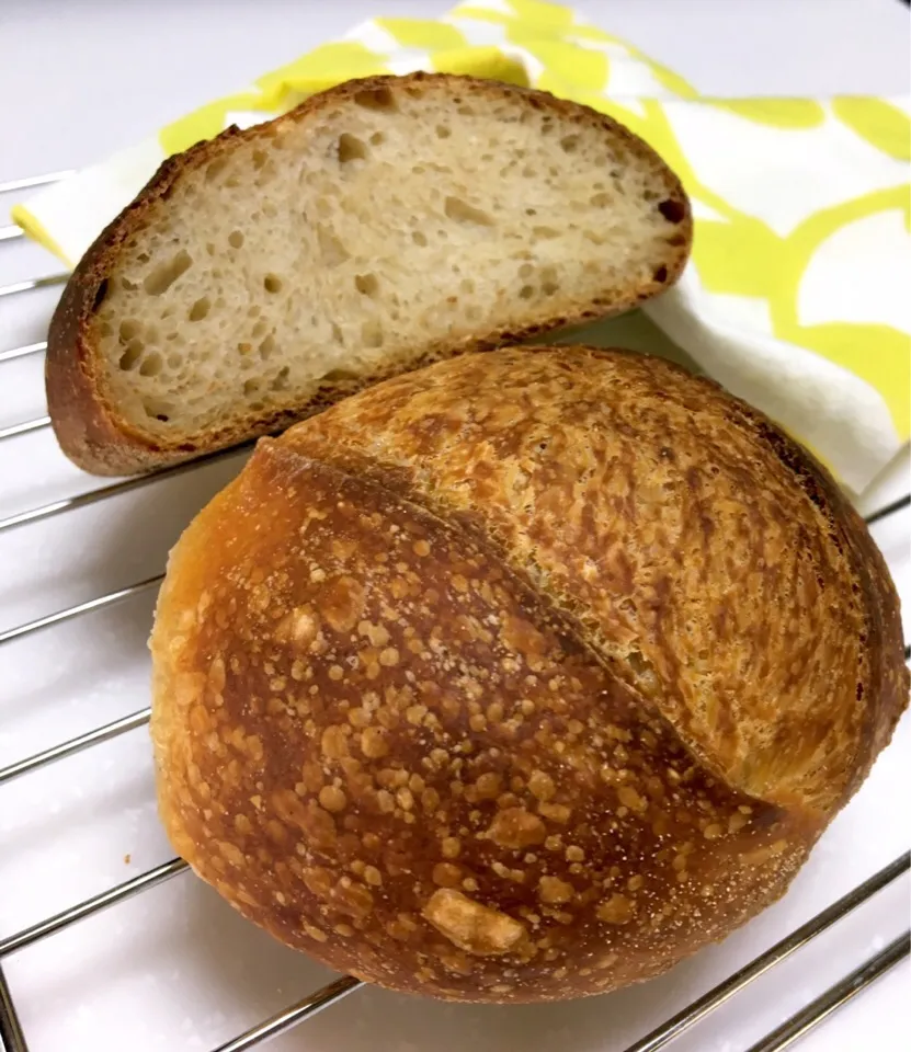 Sourdough Boule|gonbenさん