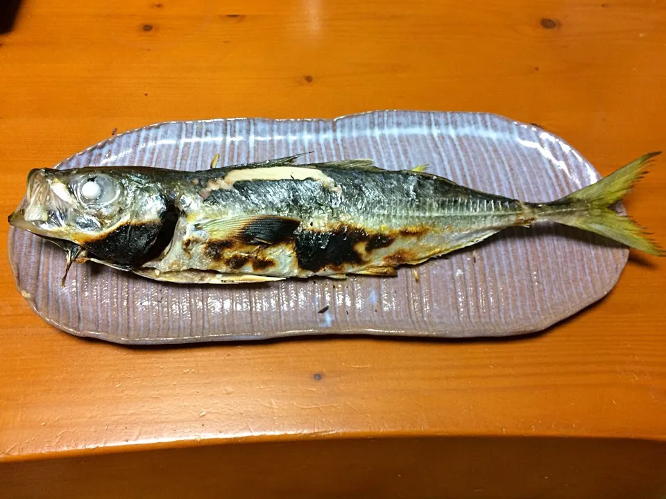 釣り人料理『鯵の塩焼き』|風流料理人さん