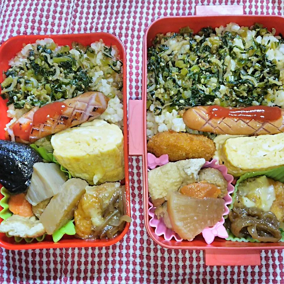 娘、私弁当🍱
   じゃこと大根葉ふりかけ～|miimiさん