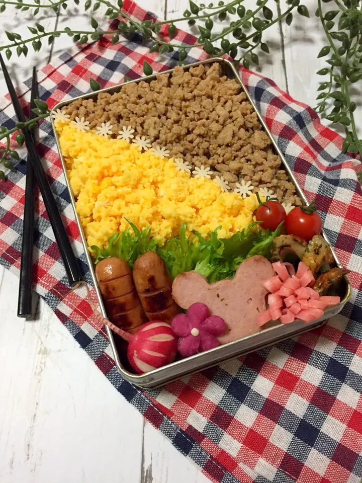 Snapdishの料理写真:2色弁当|サリーさん