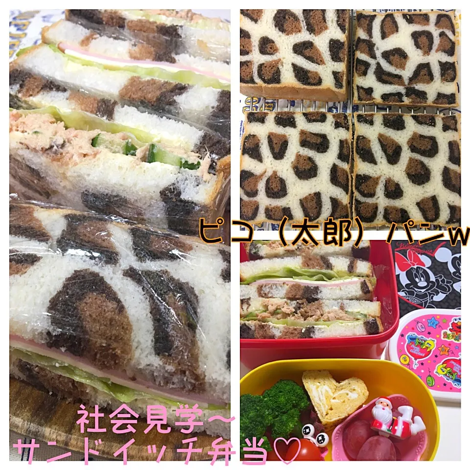 mari♡（もも(*´∀｀*)♪）さんの料理 手作り♡和風ツナマヨサンド&ハムサンド。今日はサンドイッチ弁当〜♡流行りに乗っかってピコ（太郎）パンにしてみた(*//艸//)♡|mari♡（もも(*´∀｀*)♪）さん