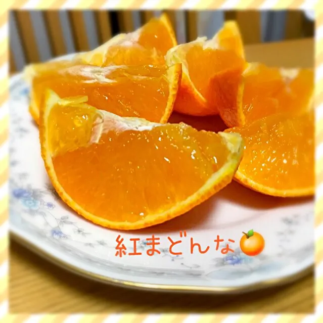 紅まどんな🍊の断面〜ゼリーみたい❤️|えいぽんさん