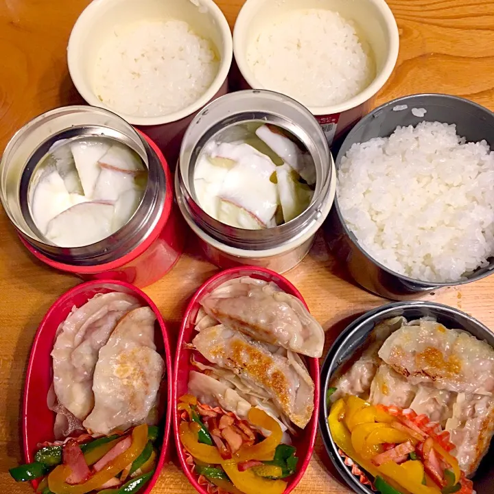 Snapdishの料理写真:子供の手作り餃子弁当|ツインズママさん