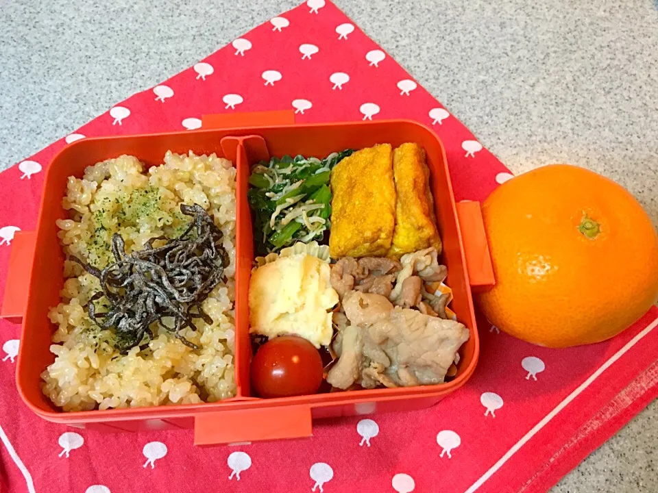 12/16☆今日のお弁当☆〜いろいろ〜|Satokoさん