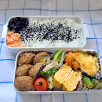 Snapdishの料理写真:男子高校生のお弁当|ベスさん