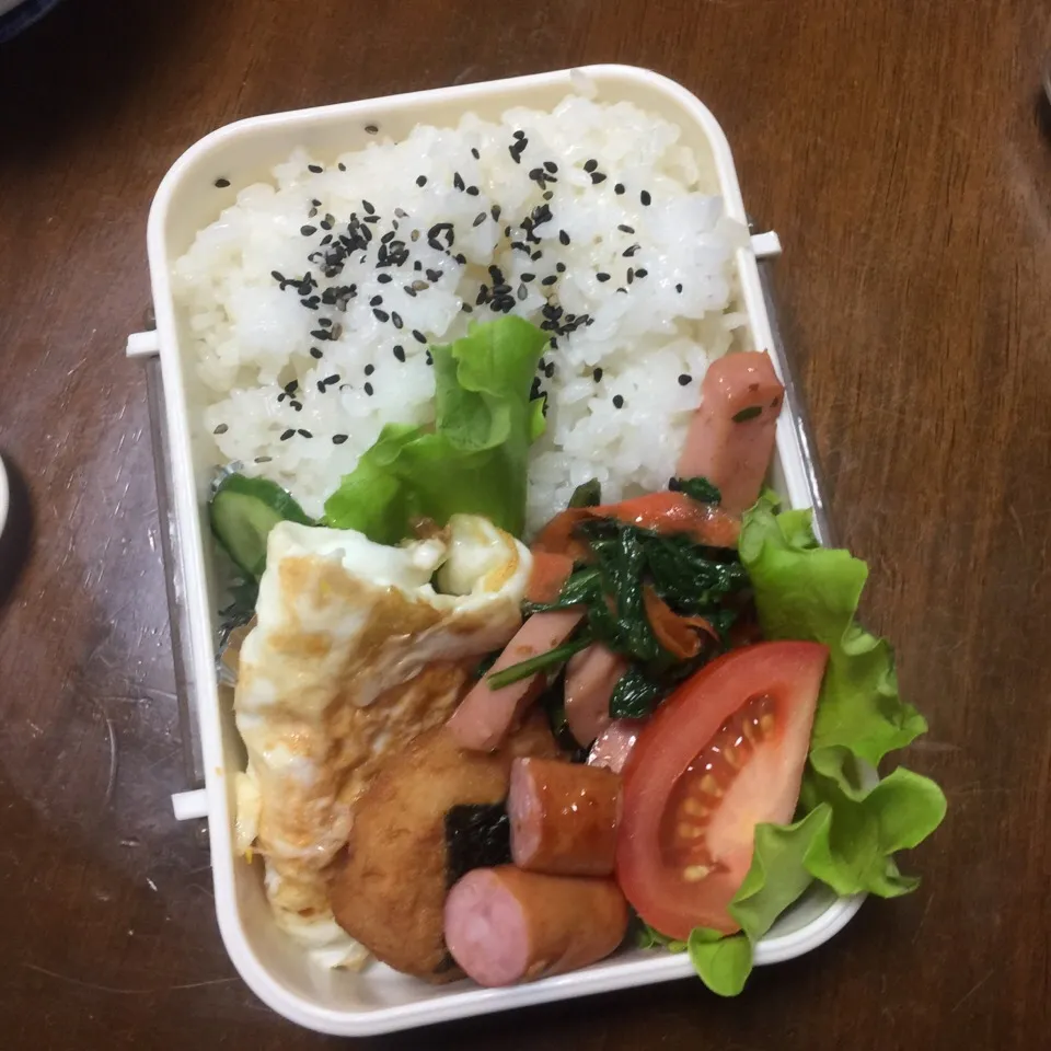 お弁当 ボローニャと春菊と人参の皮の炒め物入り|すずくさん