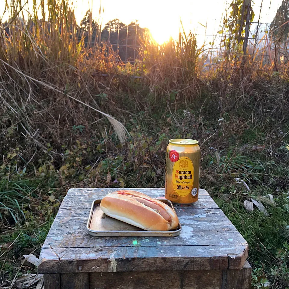 夕方ピクニック♬ (▰˘◡˘▰)☝︎ #picnic #乾杯 #ホットドッグ #ハイボール #夕方ピクニック|Yoshinobu Nakagawaさん