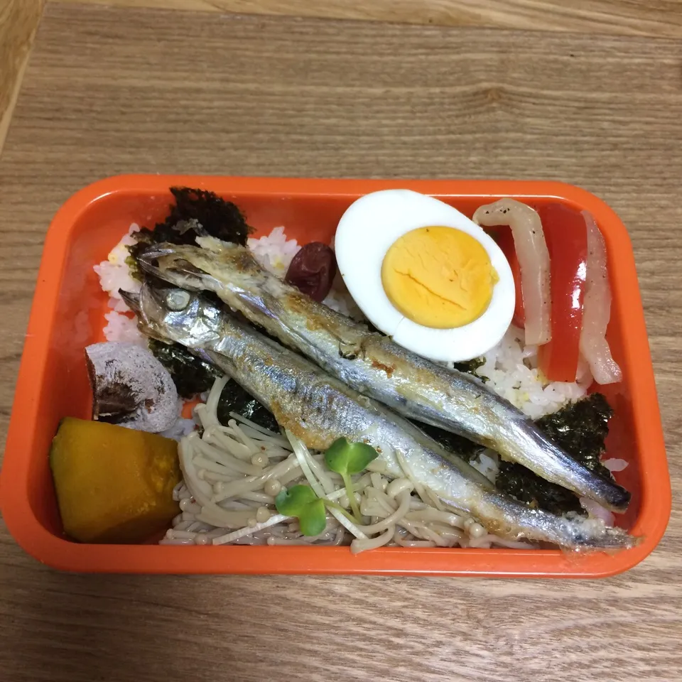 12/20 お弁当|はまみさん