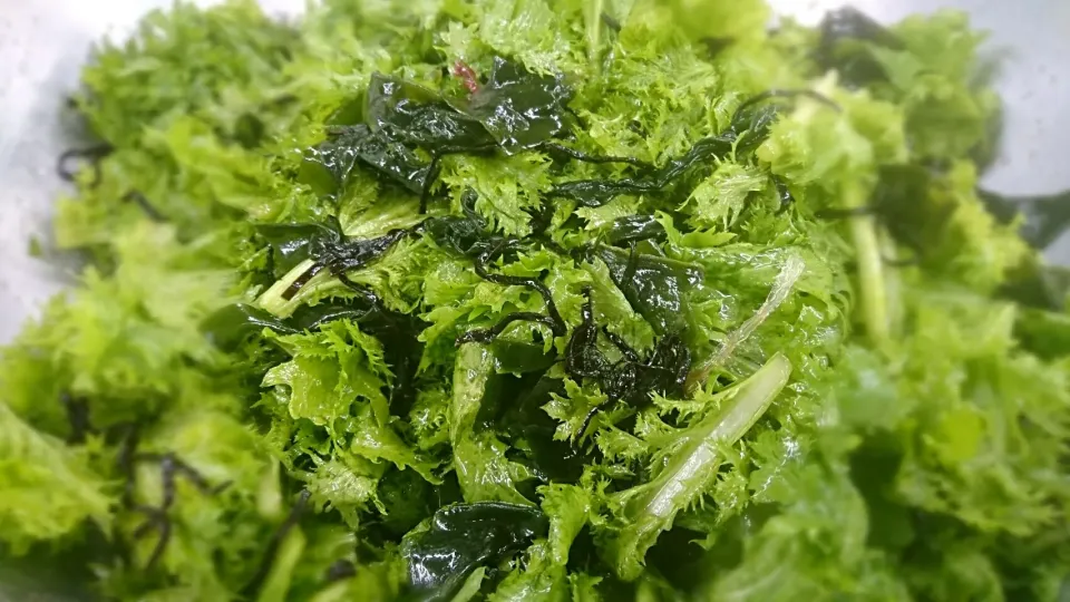 わさび菜と塩昆布の胡麻油和え|よっしー(=^ェ^=)さん