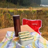 ピクニック・ランチ♬ (▰˘◡˘▰)☝︎#lunch #picnic #おにぎらず #お弁当