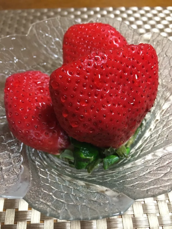 食後のデザートは
あまおうちゃん🍓|Miekoさん