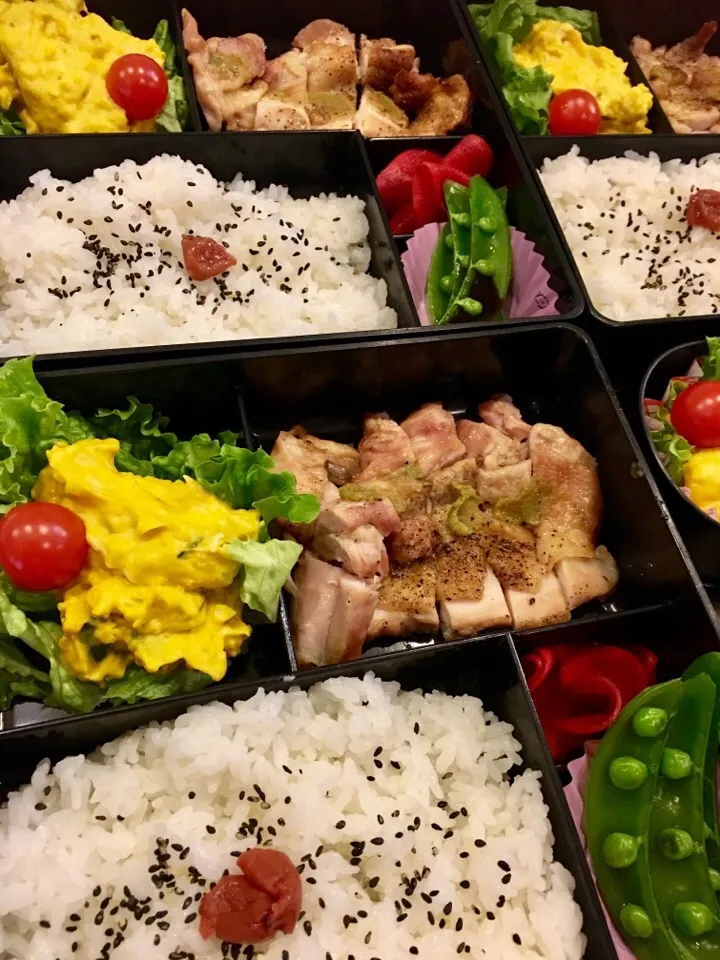 【焼いただけ！自家製柚子胡椒でチキン弁当】
今朝は朝からお出かけだってので
塩胡椒して魚焼きグリルに入れるだけ(^.^)

焼いただけ柚子胡椒チキン。

蒸した南瓜は🎃
クリームチーズ&マヨ和え、
混ぜただけサラダ。

スキマおかずは
作り置き赤カブ甘酢漬け、
スナップエンドウ醤油かけただけ！

土鍋炊きごはんに梅干し|大久保 掬恵さん