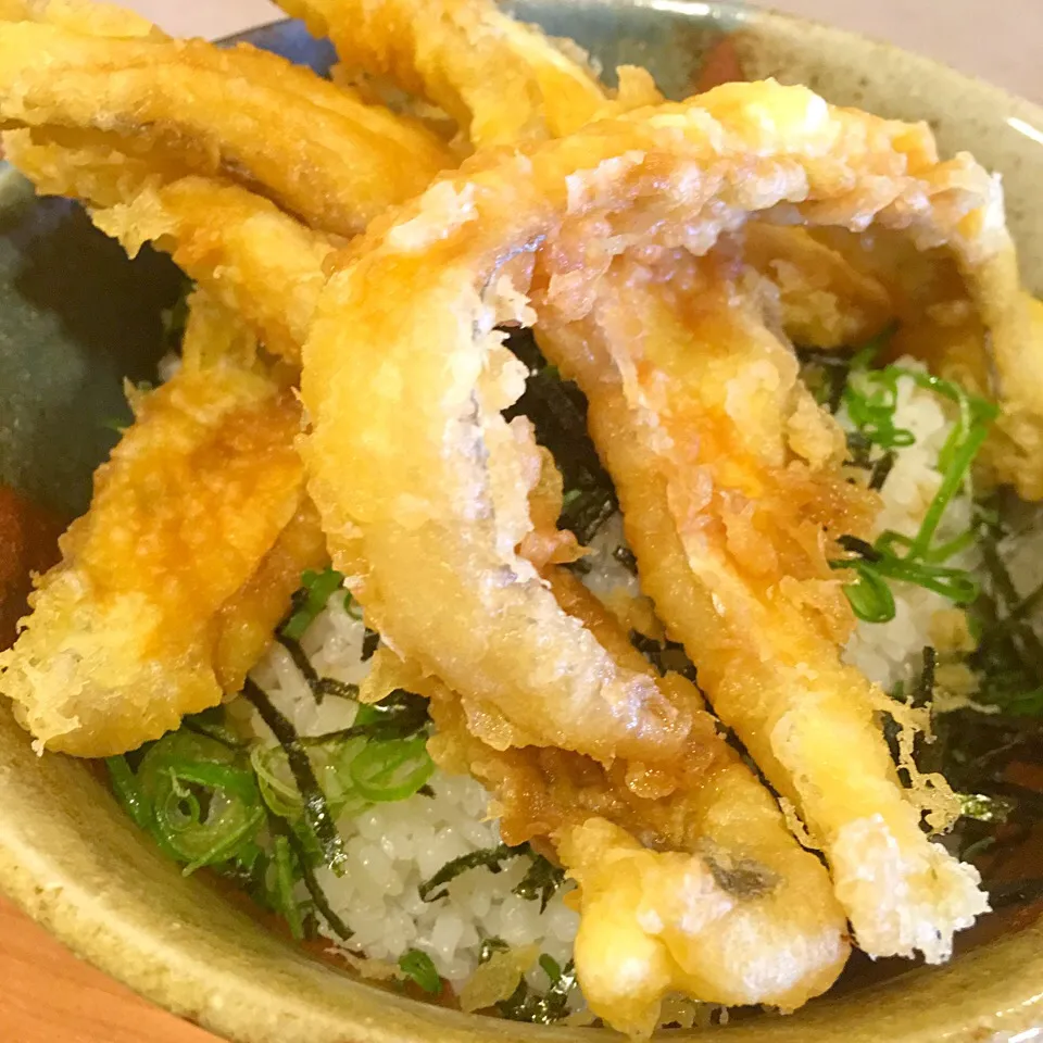 Snapdishの料理写真:太刀魚の天丼|藤原 秀典さん