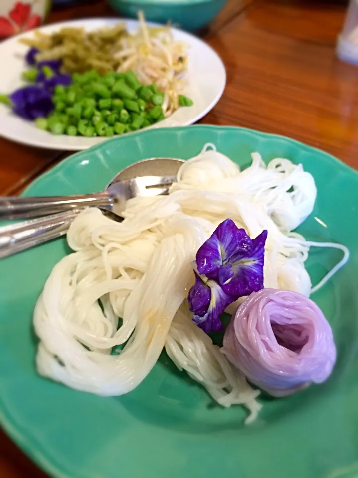 Rice noodle with varies of soup@Tak Province, Thailand.|Chalinee Kalyanamitraさん