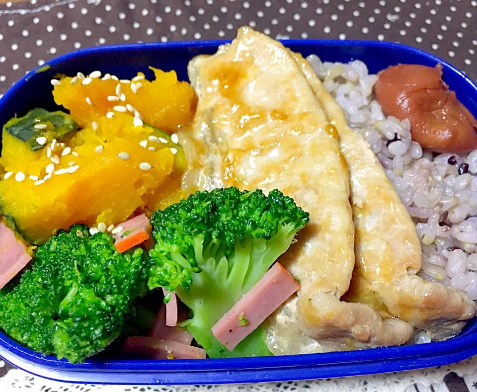 今日のお弁当(*ˊૢᵕˋૢ*)💕|みっちゃんさん