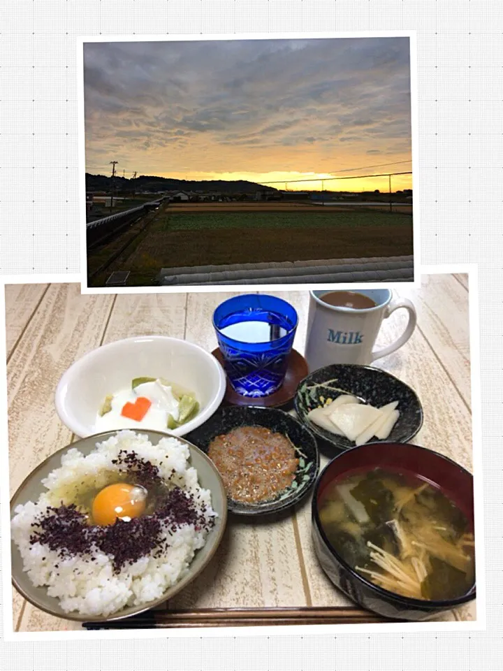 Snapdishの料理写真:今日の男飯(＞人＜;)朝ごはんバージョン♬納豆and聖護院大根の浅漬けand聖護院大根とエノキとワカメの味噌汁andしそたまごかけごはんandピクルスヨーグルト♬|ひーちゃんさん